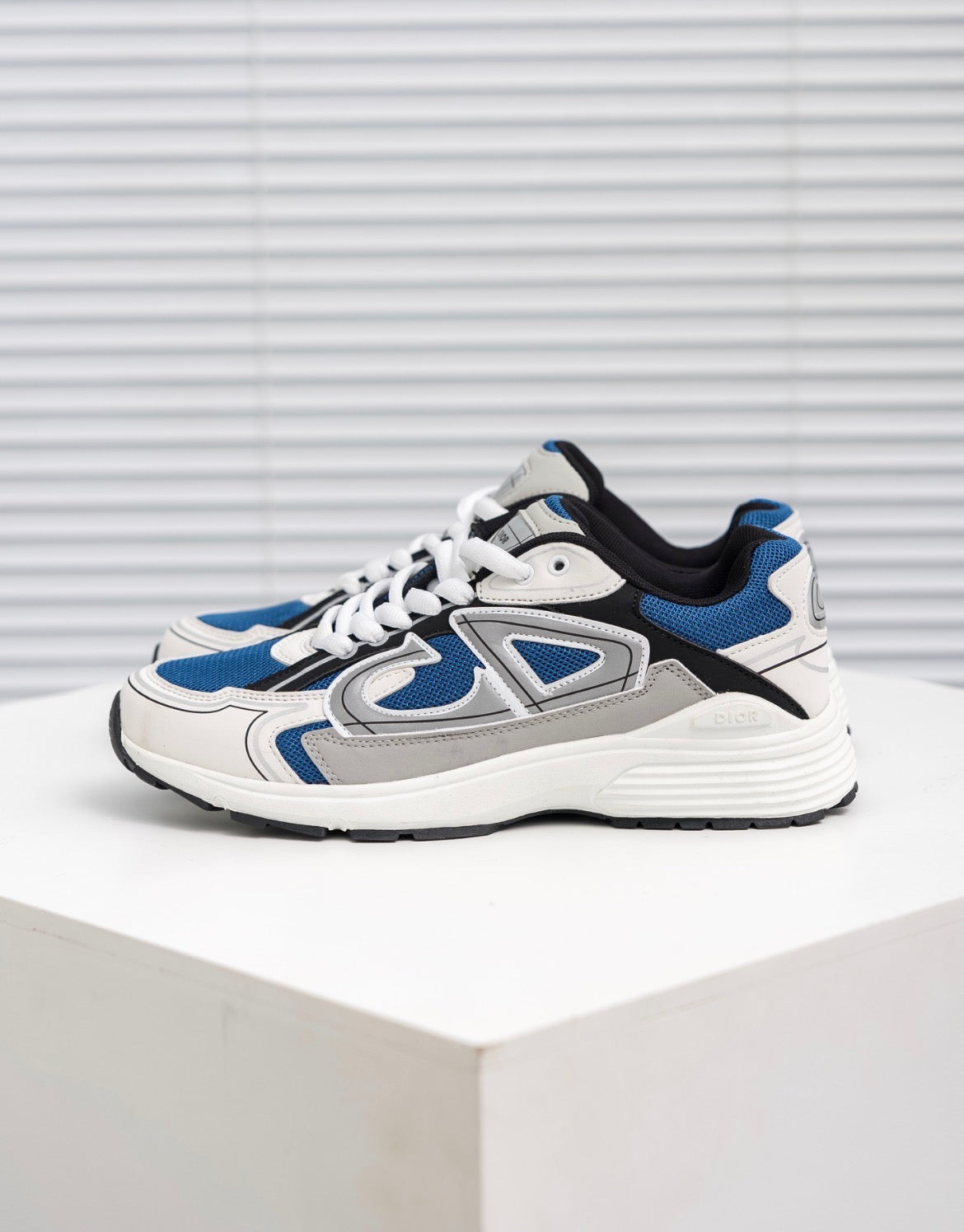 Christian Dior Sneakers